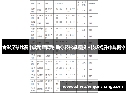 竞彩足球比赛中奖秘籍揭秘 助你轻松掌握投注技巧提升中奖概率